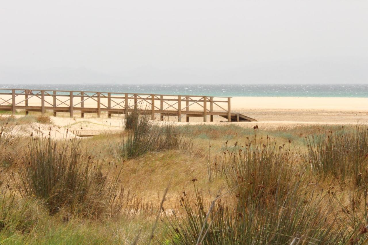 Los Lances Tarifa - Piscina Y Patio Exterior photo